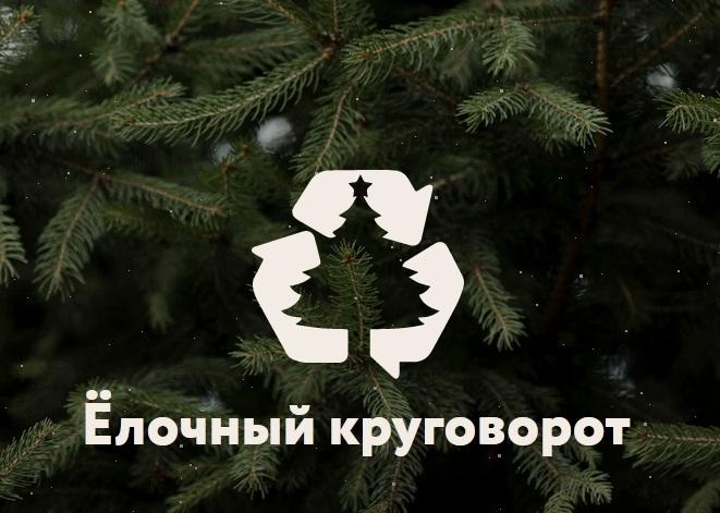Усвятский округ присоединяется к акции «Ёлочный круговорот».