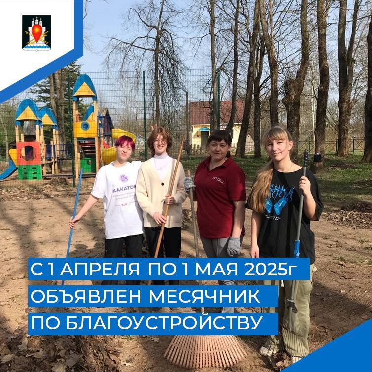 В Усвятском округе объявлен месячник по благоустройству территории.