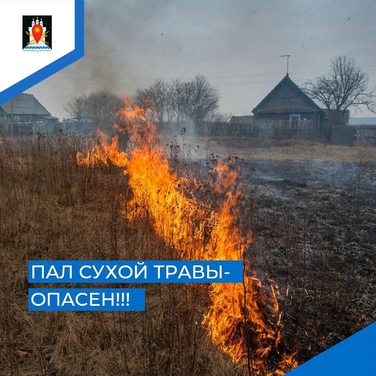 Травяной пал – это настоящее стихийное бедствие и причина пожаров!.