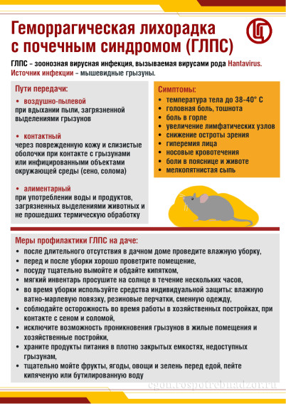 Информирование об эпидситуации по геморрагической лихорадке с почечным синдромом. Информирование об эпидситуации по геморрагической лихорадке с почечным синдромом.